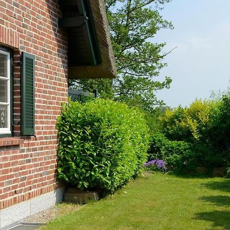 Wildrose Ferienhaus ボルテンハーゲン エクステリア 写真
